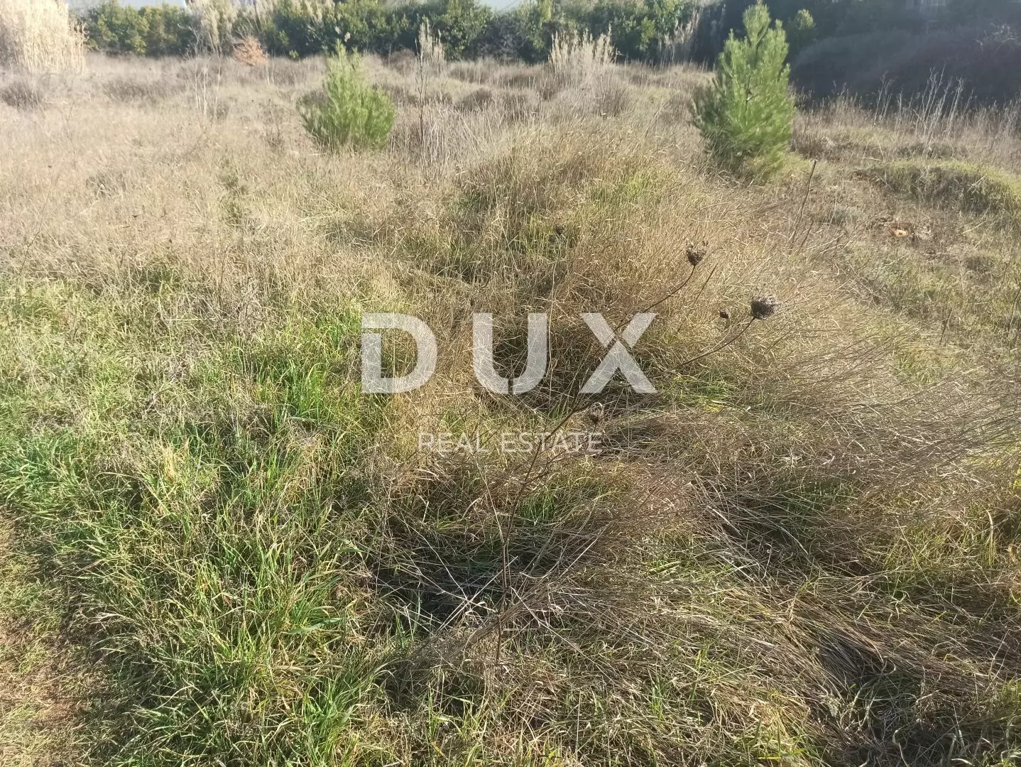 Land In Šijana, Croatia (3.047 M²)