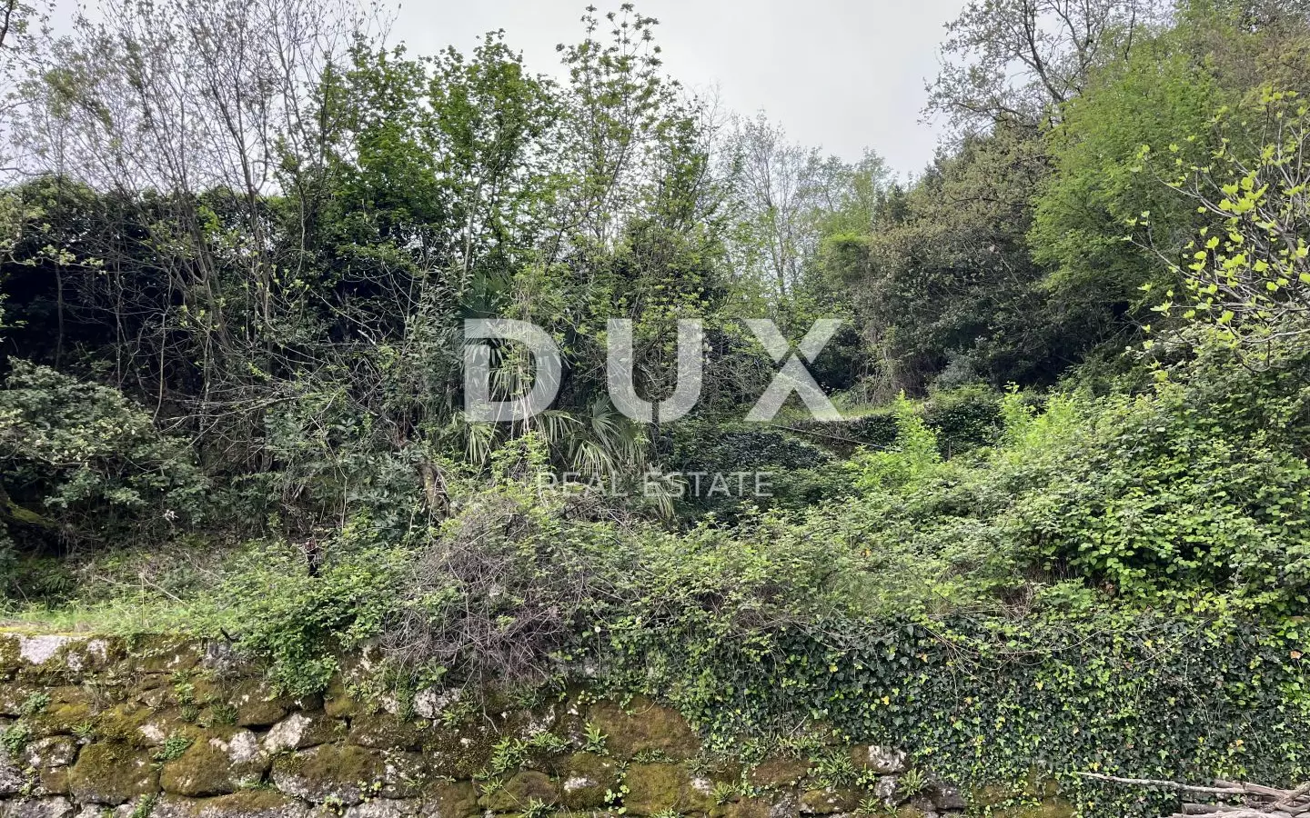 Land In Mihotići, Croatia (2.496 M²)