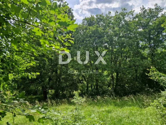 Land In Cerovlje, Croatia (1.297 M²)