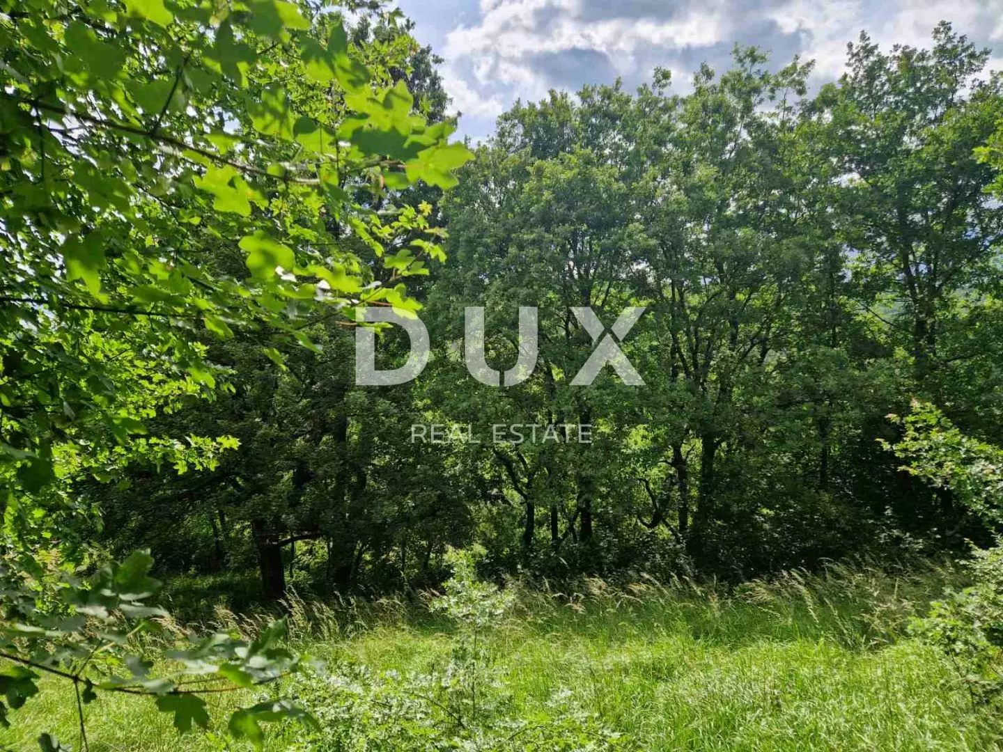Land In Cerovlje, Croatia (1.297 M²)