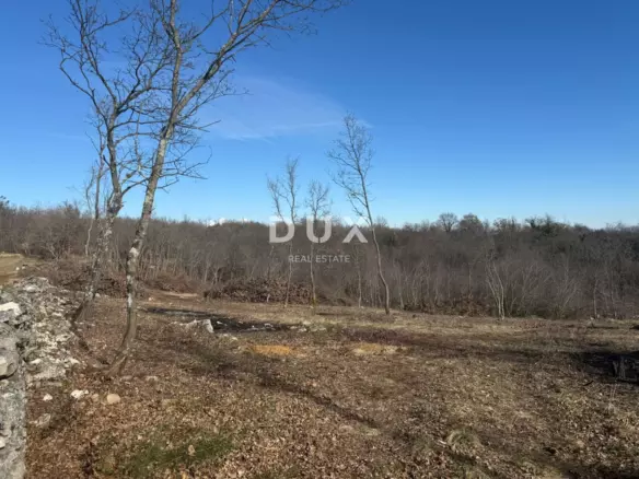 Land In Barban, Croatia (3.445 M²)