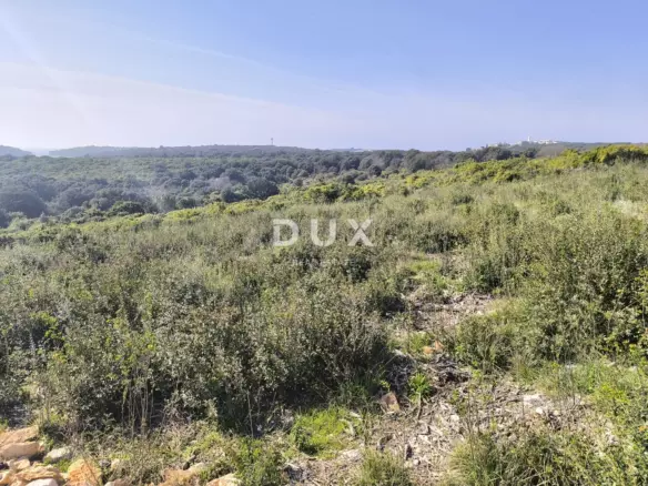Land In Vinkuran, Croatia (622 M²)