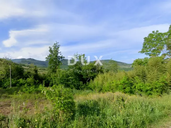 Land In Motovun, Croatia (718 M²)