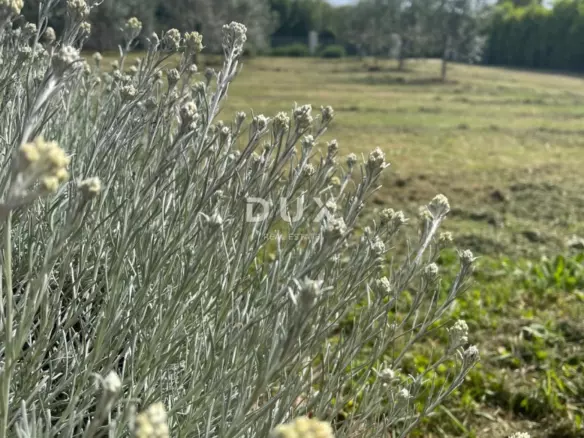 Land In Loborika, Croatia (3.028 M²)
