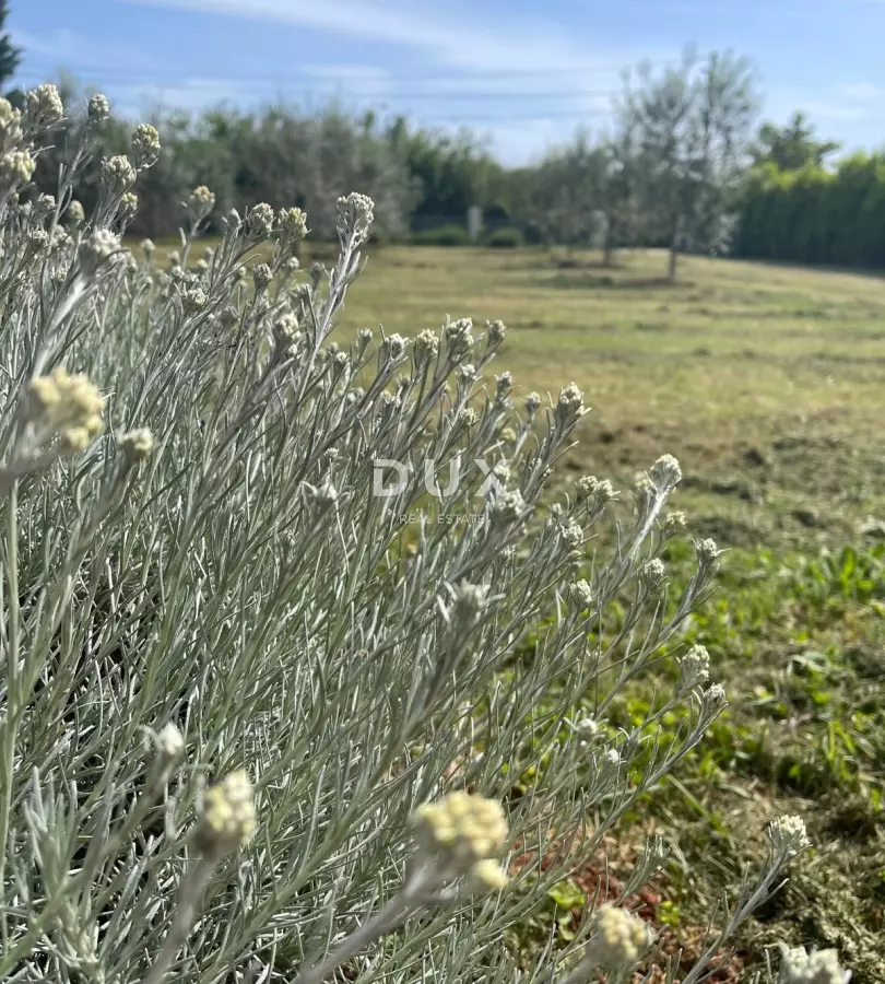 Land In Loborika, Croatia (3.028 M²)