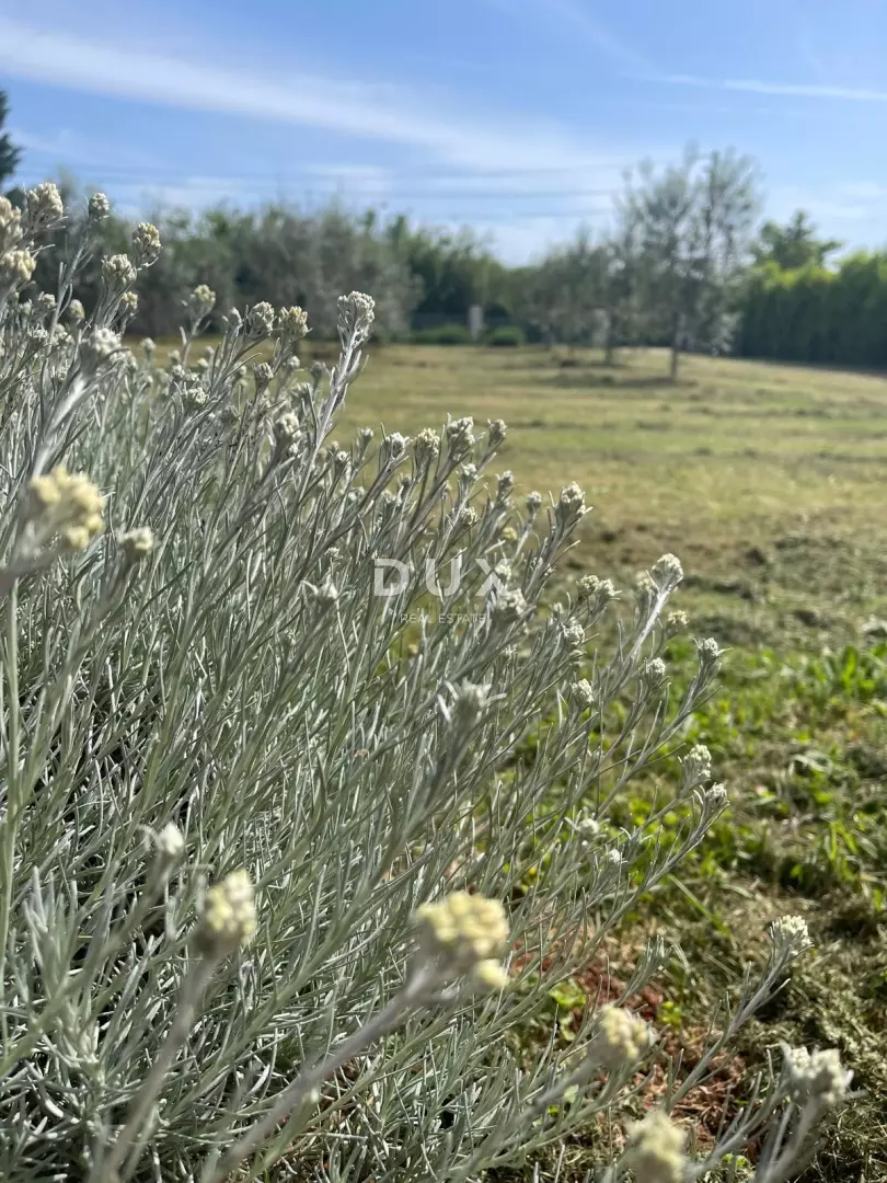 Land In Loborika, Croatia (3.028 M²)