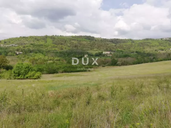 Land In Motovun, Croatia (53.183 M²)