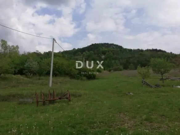 Land In Motovun, Croatia (53.183 M²)