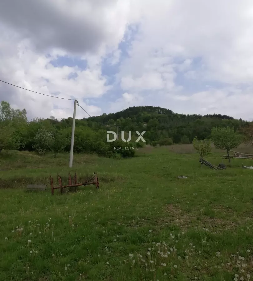 Land In Motovun, Croatia (53.183 M²)