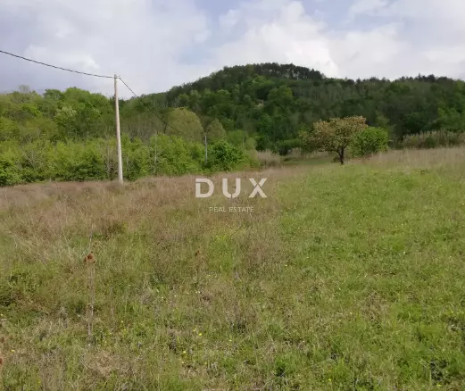 Land In Motovun, Croatia (53.183 M²)