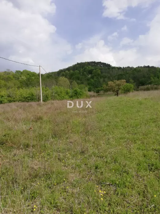 Land In Motovun, Croatia (53.183 M²)