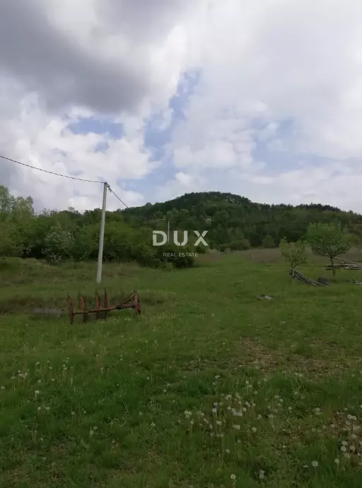 Land In Motovun, Croatia (53.183 M²)
