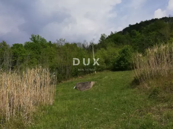 Land In Motovun, Croatia (53.183 M²)