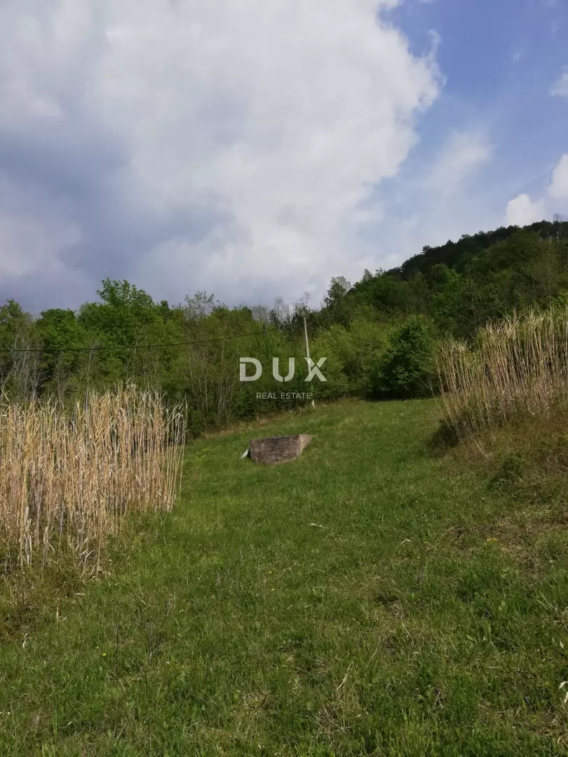 Land In Motovun, Croatia (53.183 M²)