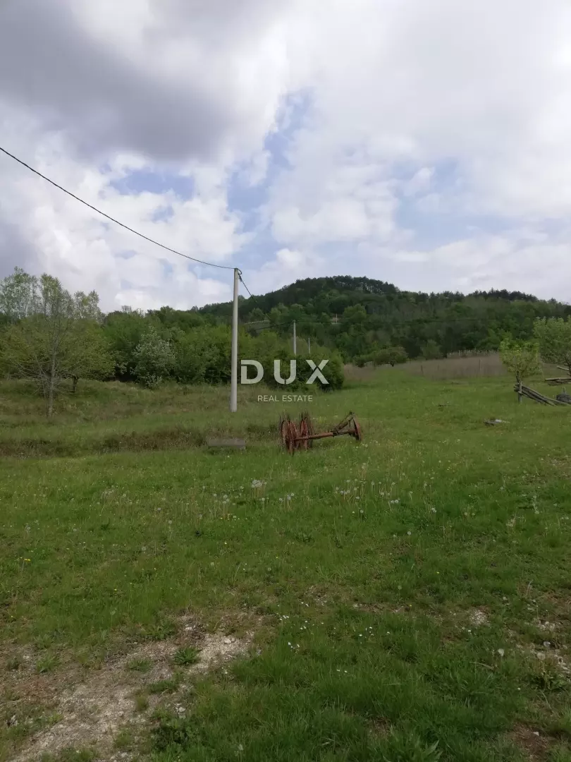 Land In Motovun, Croatia (53.183 M²)