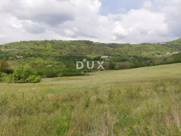 Land In Motovun, Croatia (53.183 M²)