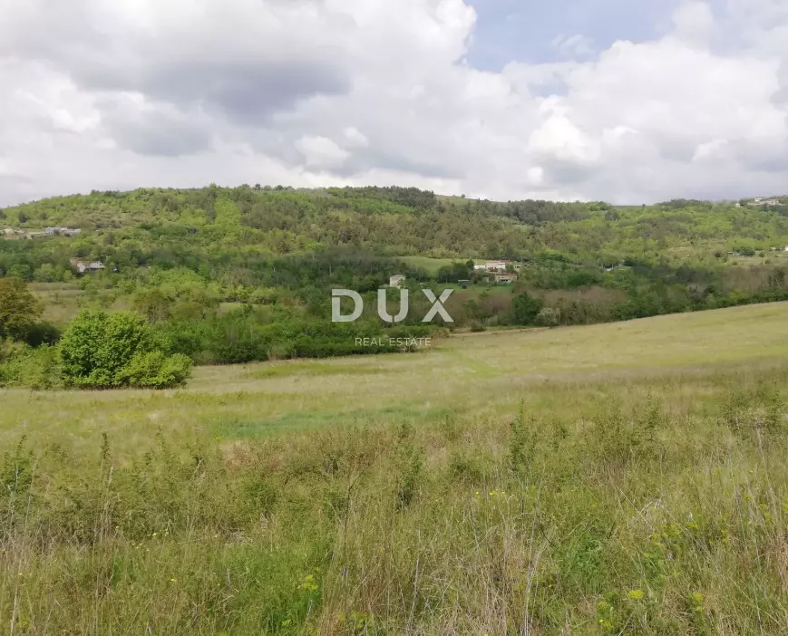 Land In Motovun, Croatia (53.183 M²)