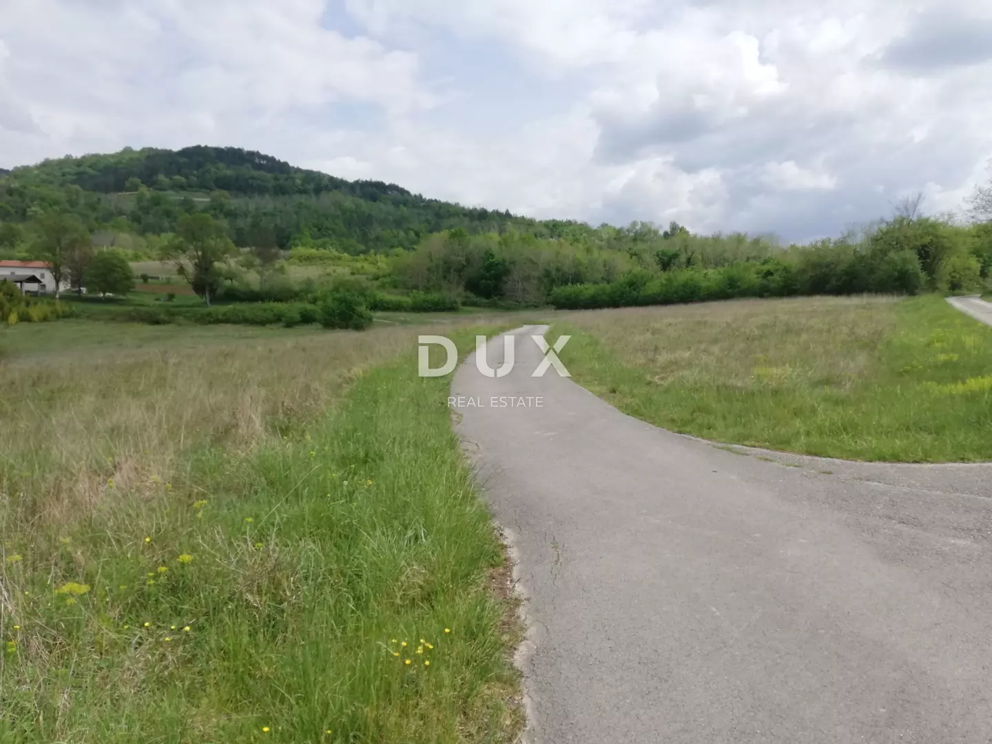 Land In Motovun, Croatia (53.183 M²)