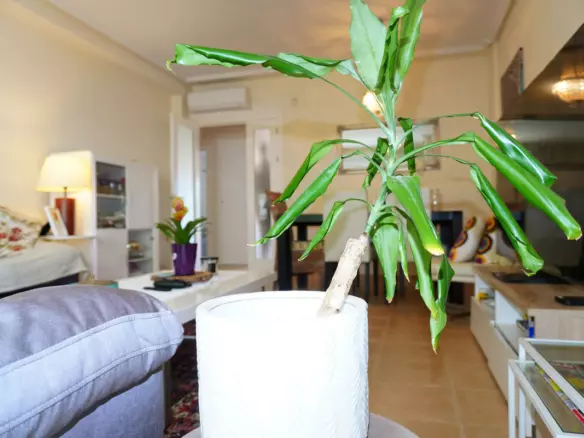 4-bedroom Town House In Mijas, Spain (167 M²)
