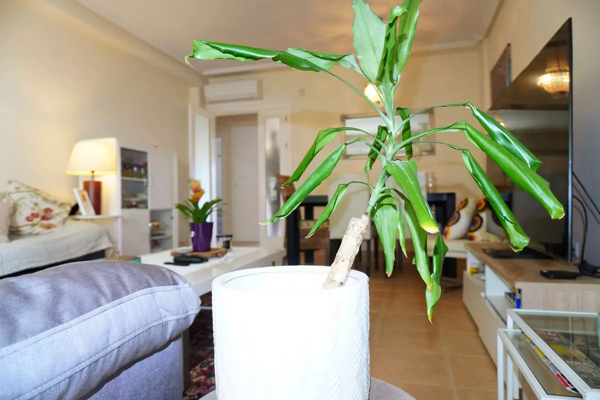 4-bedroom Town House In Mijas, Spain (167 M²)