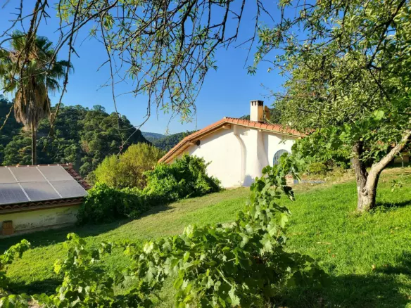 3-bedroom Country House In Genalguacil, Spain (3.142 M²)