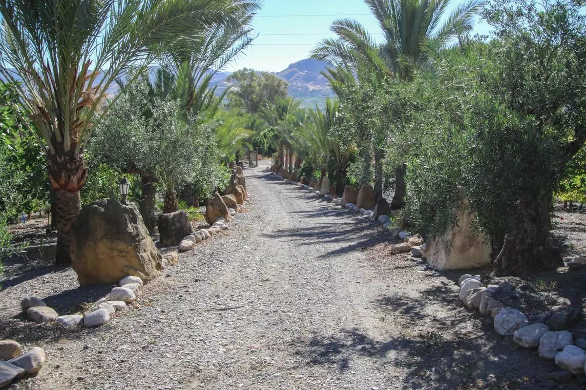 3-bedroom Villa In Pizarra, Spain (123 M²)