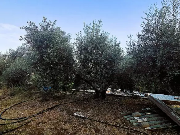 4-bedroom Country House In Ojen, Spain (120 M²)
