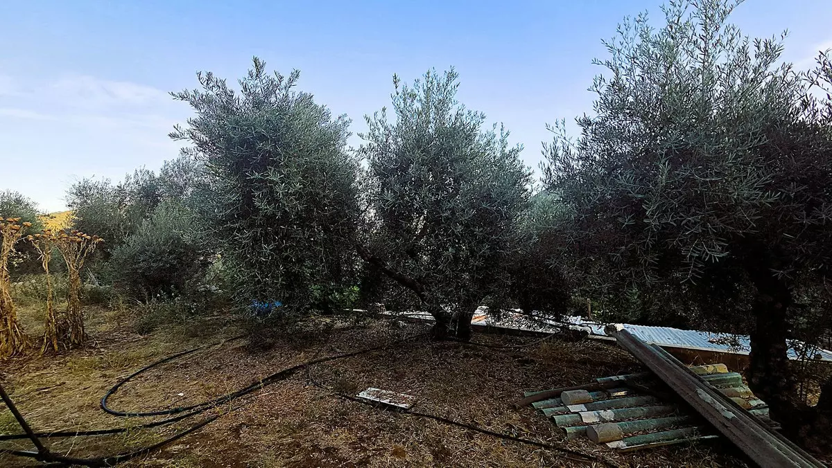 4-bedroom Country House In Ojen, Spain (120 M²)