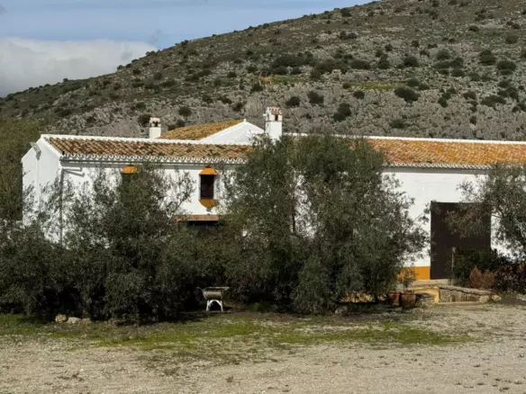 10-bedroom Country House In Teba, Spain (1.170 M²)