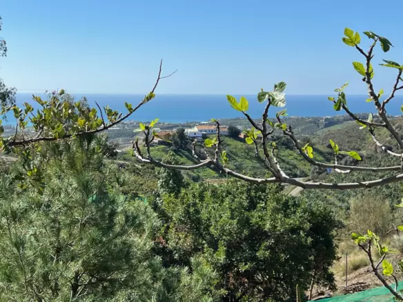 3-bedroom Villa In Vélez – Málaga, Spain (305 M²)
