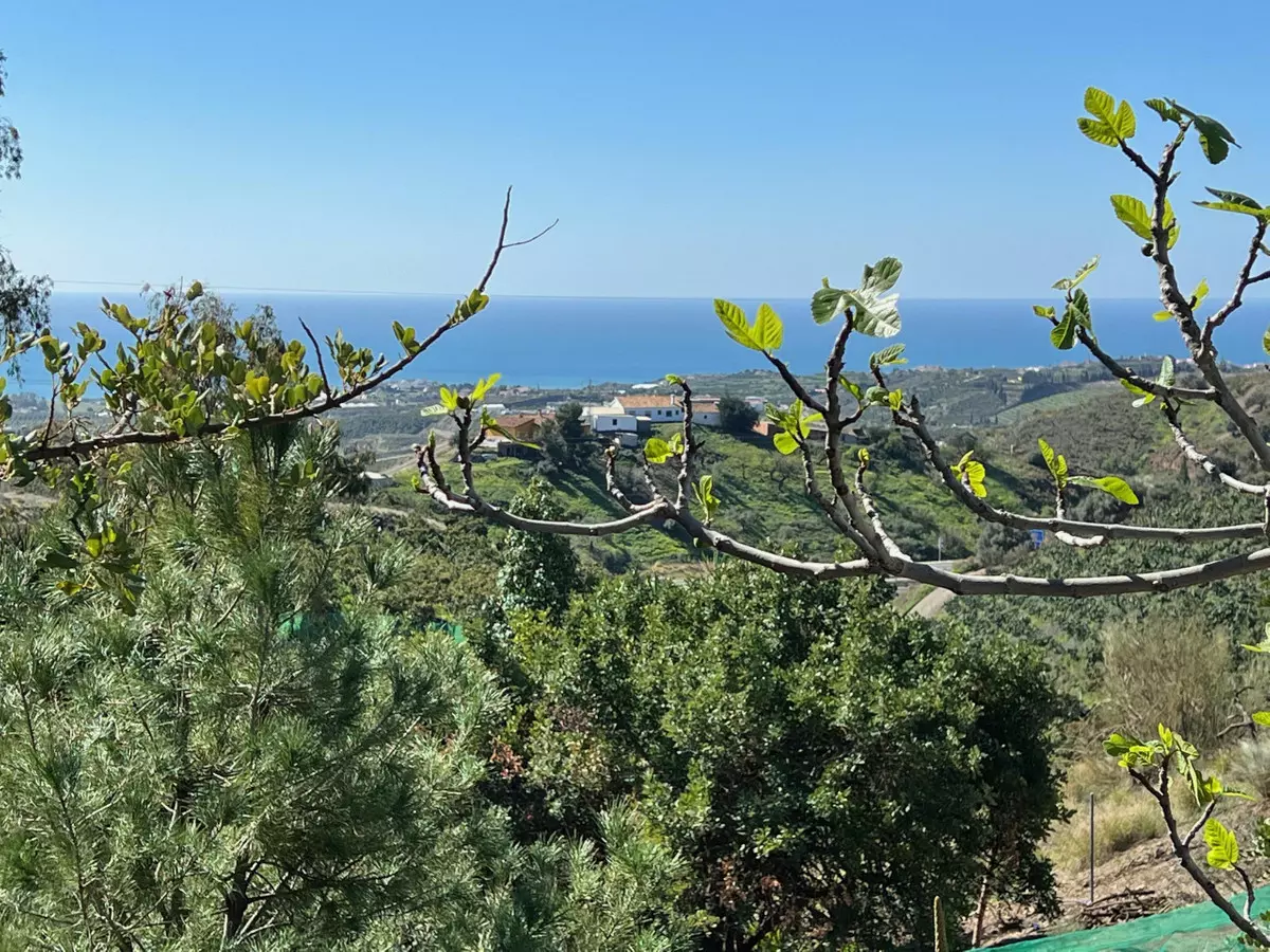 3-bedroom Villa In Vélez – Málaga, Spain (305 M²)