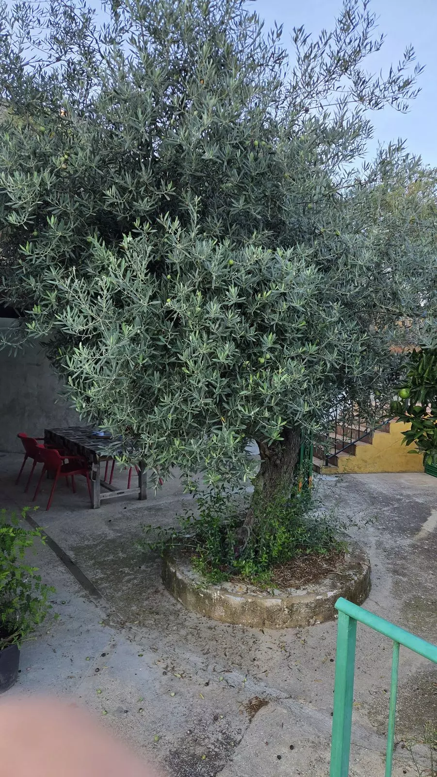 ShowFeedImage-715eda 4-bedroom Country House In Ojen, Spain (120 M²)