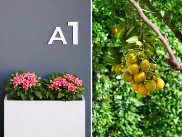 3-bedroom Villa In Mijas, Spain (158 M²)