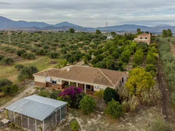 8-bedroom Villa In Alhaurín El Grande, Spain (556 M²)