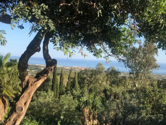 3-bedroom Villa In Vélez – Málaga, Spain (305 M²)