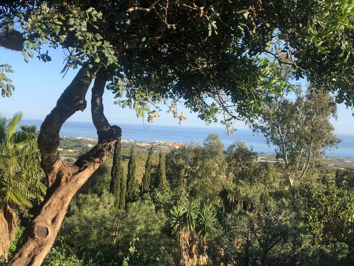 3-bedroom Villa In Vélez – Málaga, Spain (305 M²)