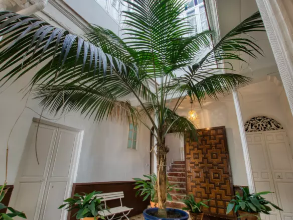 12-bedroom Town House In Vélez – Málaga, Spain (347 M²)