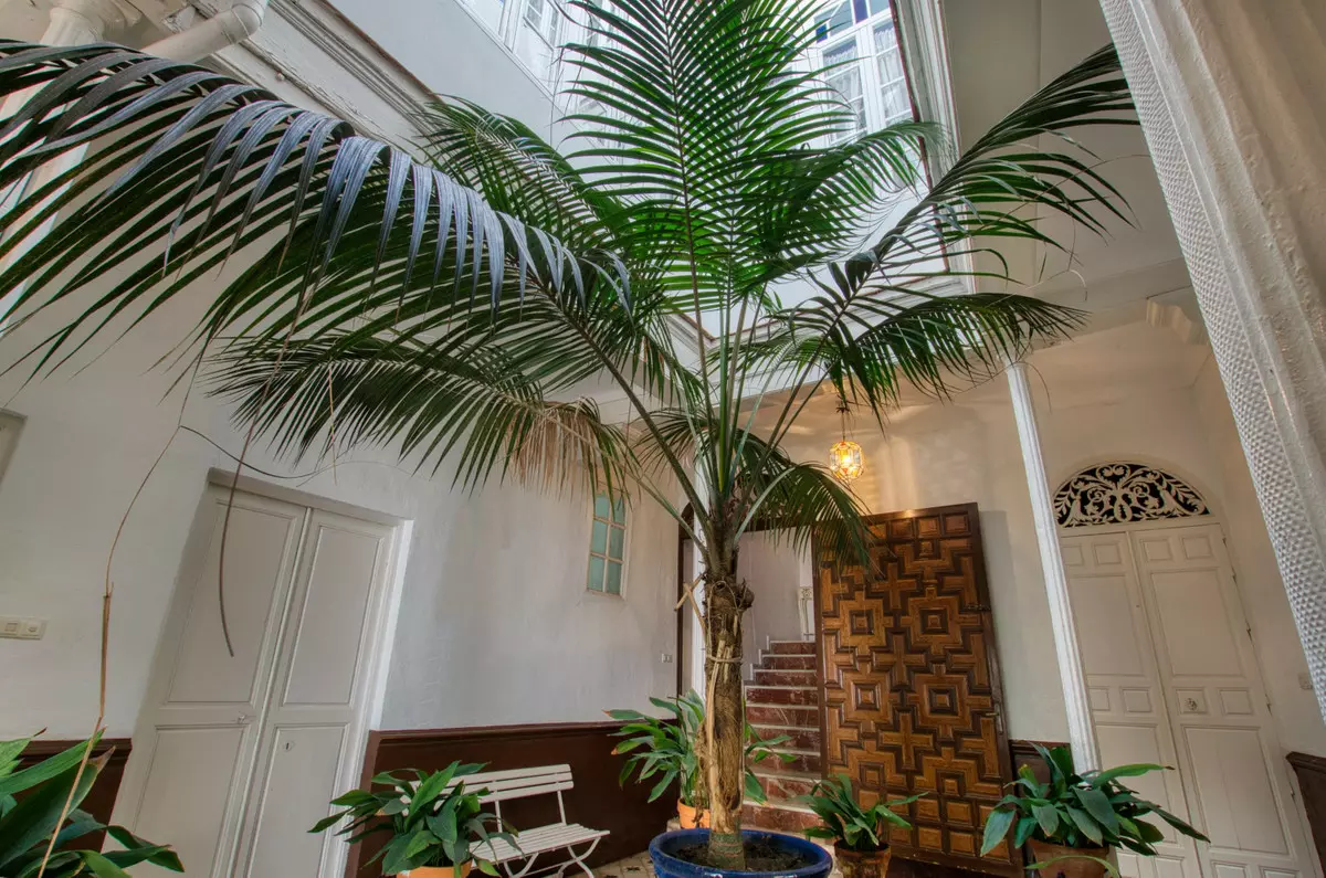 12-bedroom Town House In Vélez – Málaga, Spain (347 M²)