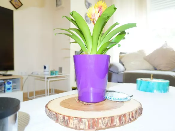 4-bedroom Town House In Mijas, Spain (167 M²)