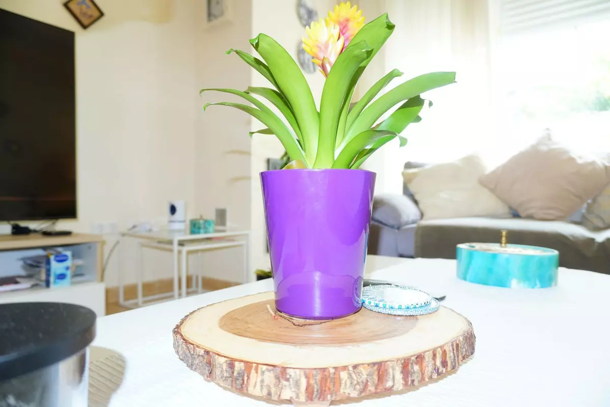 4-bedroom Town House In Mijas, Spain (167 M²)