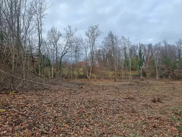 Land In Labin, Croatia (1.009 M²)