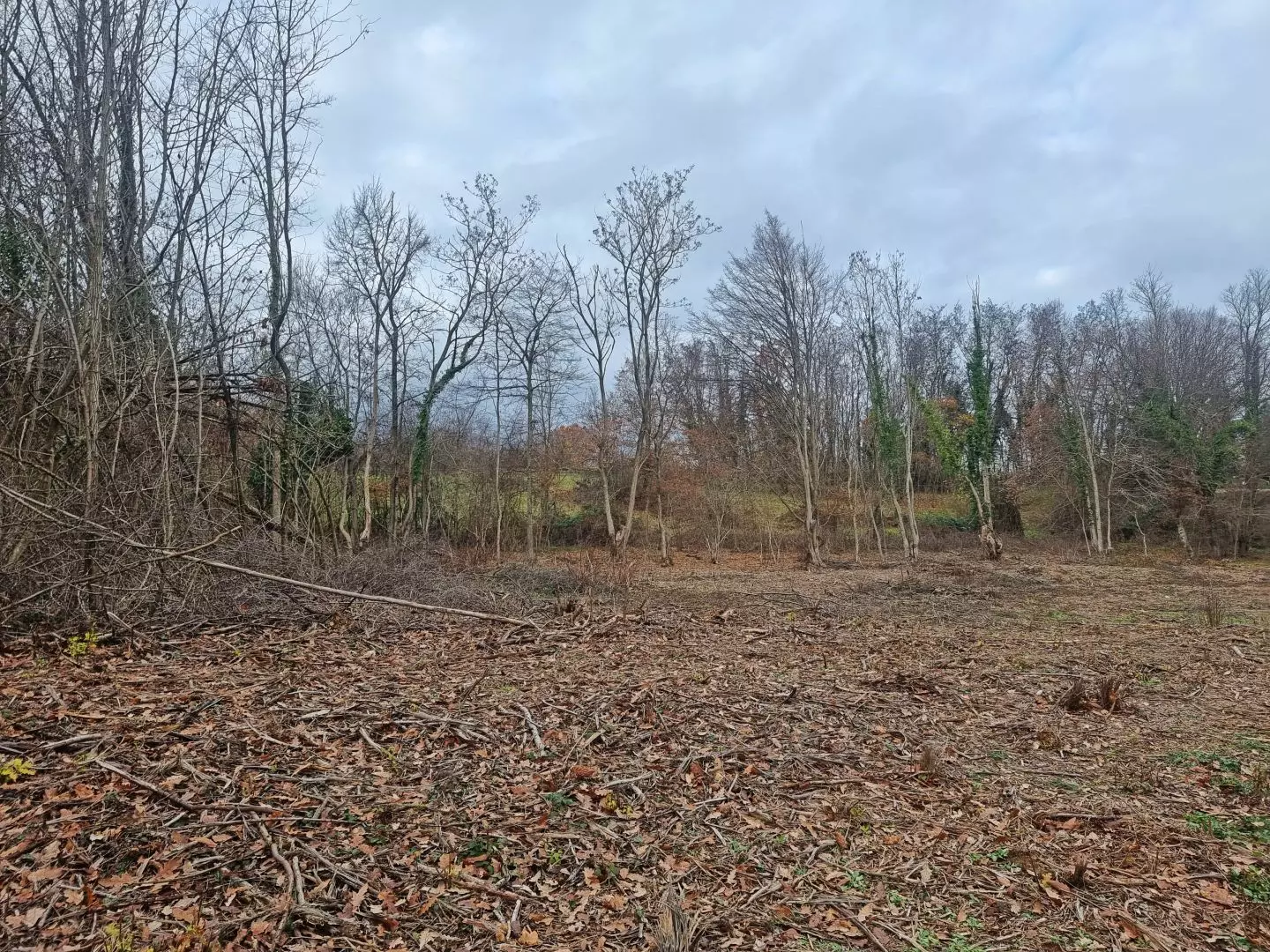 Land In Labin, Croatia (1.009 M²)