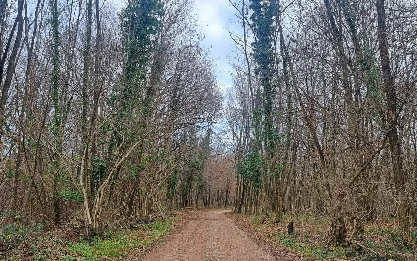 Land In Labin, Croatia (1.009 M²)