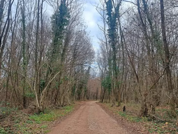 Land In Labin, Croatia (1.009 M²)