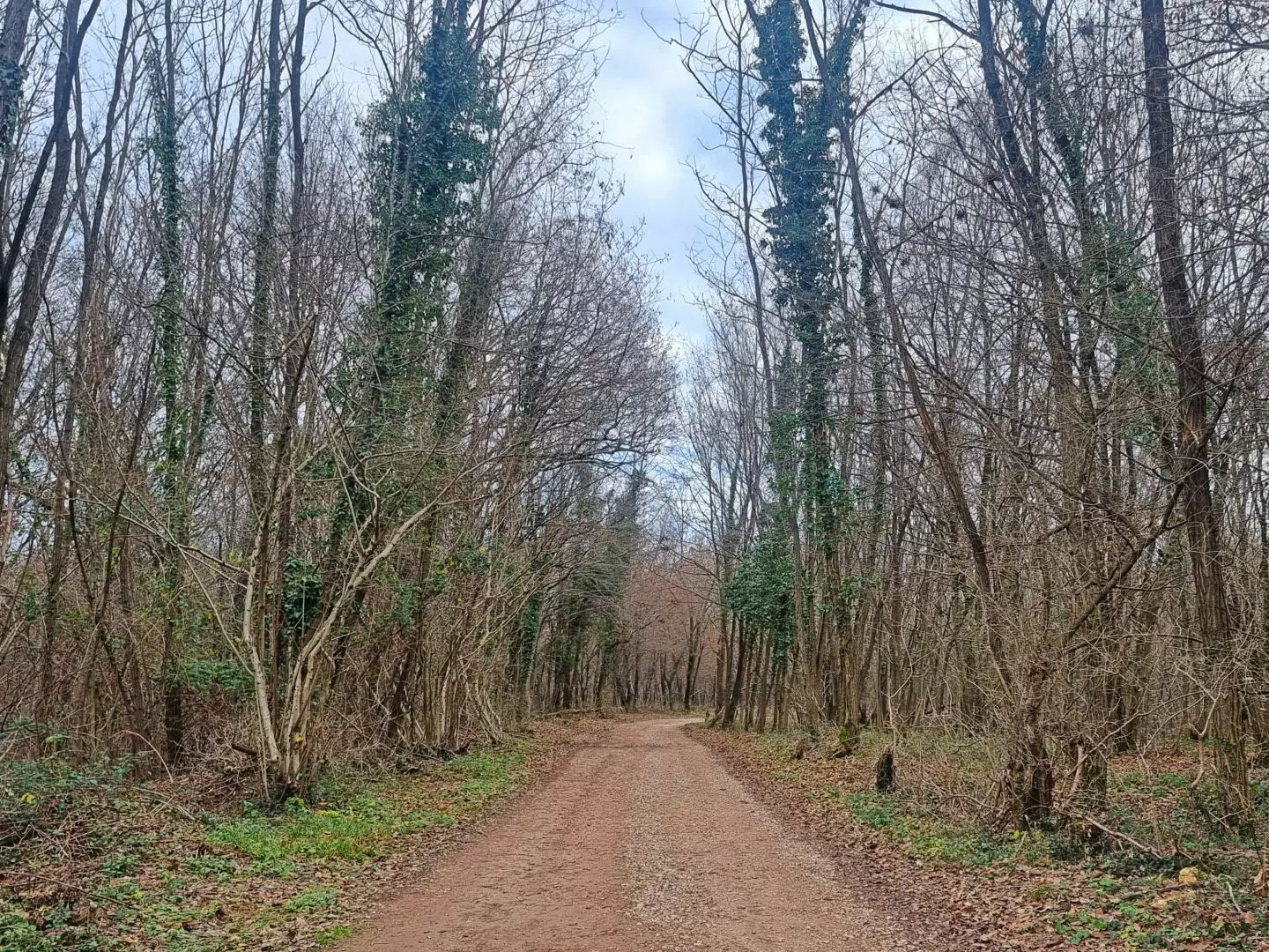Land In Labin, Croatia (1.009 M²)