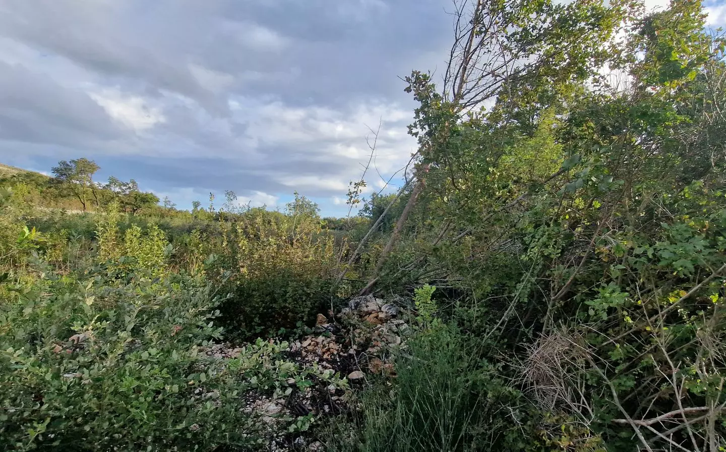 Land In Labin, Croatia (4.154 M²)