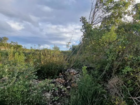 Land In Labin, Croatia (4.154 M²)