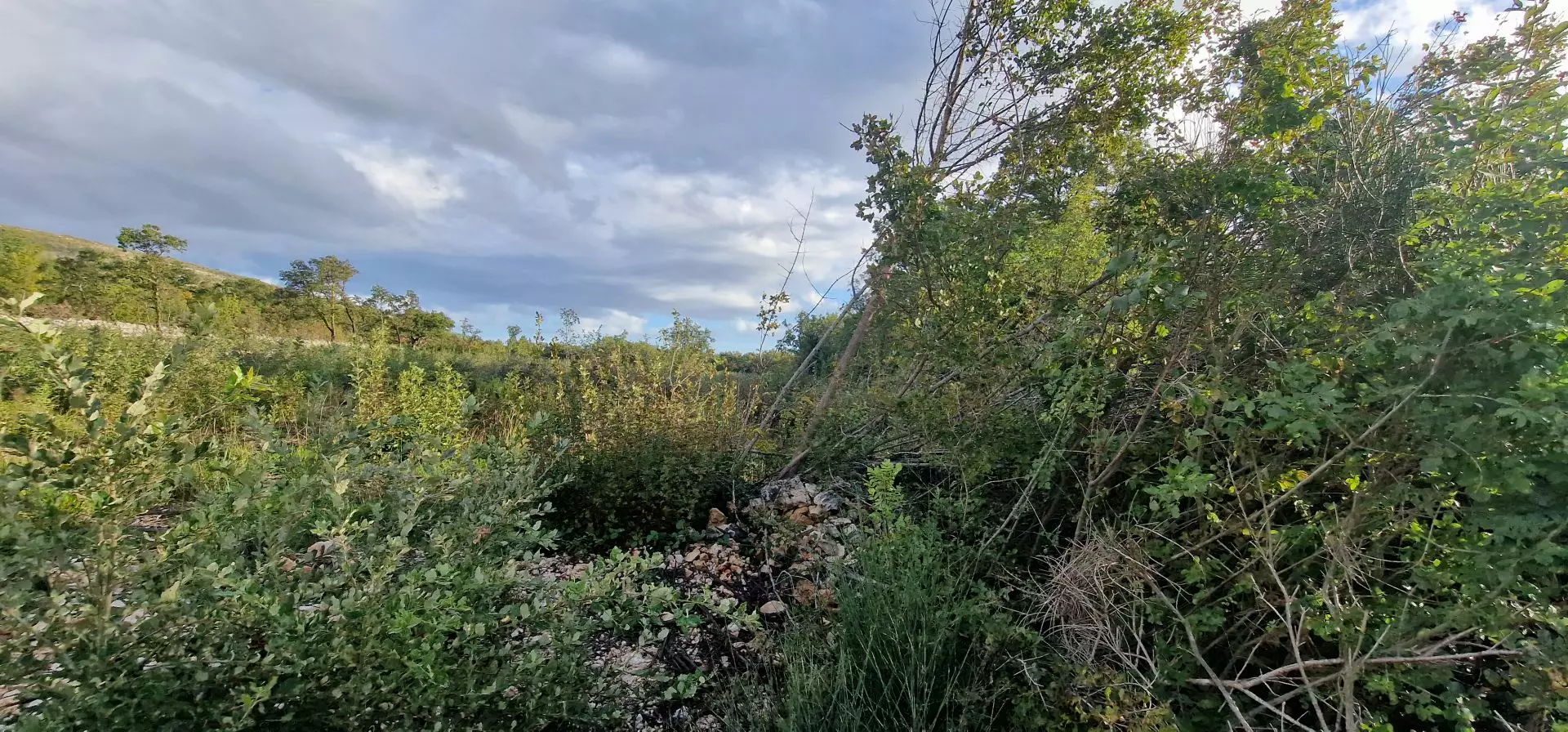 Land In Labin, Croatia (4.154 M²)