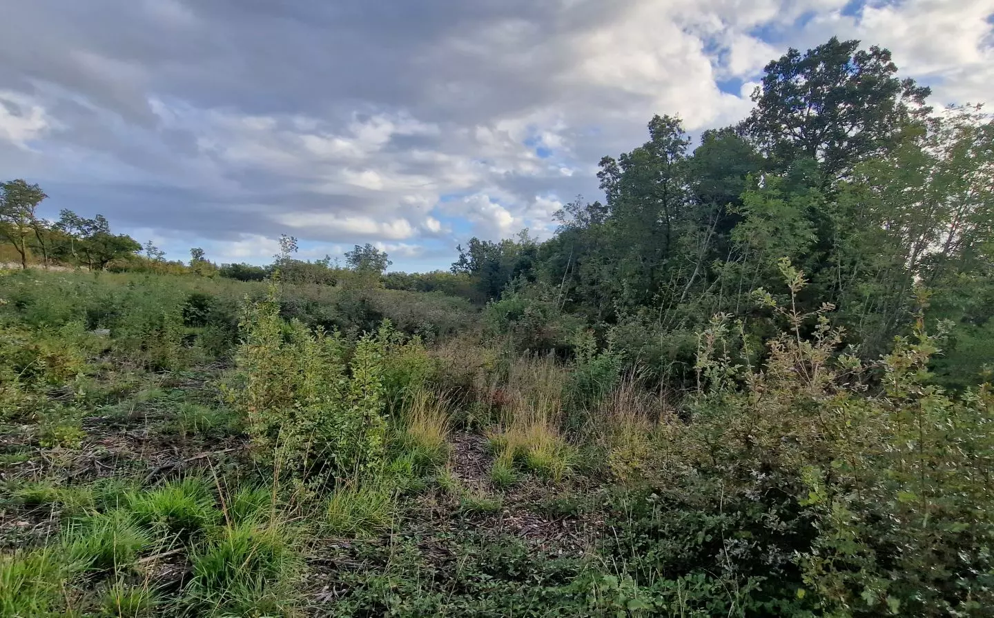 Land In Labin, Croatia (4.154 M²)