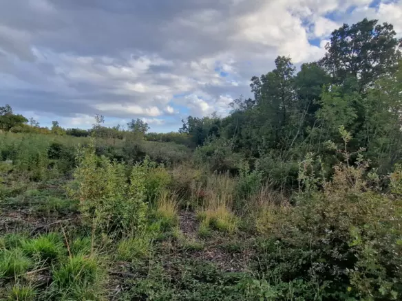 Land In Labin, Croatia (4.154 M²)